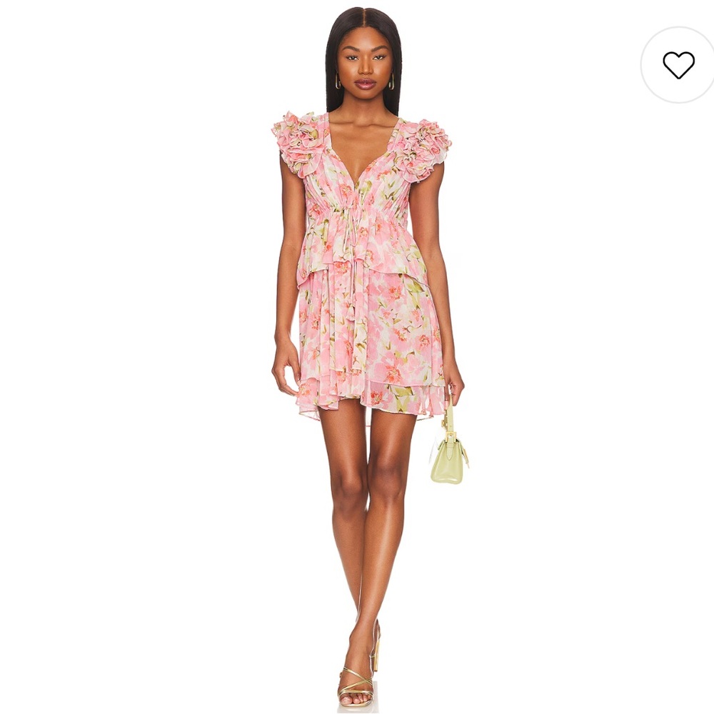NWT MISA Los Angeles Lily Dress in Blushing Flora